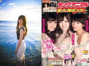 ZFX_sayurin106.jpg
