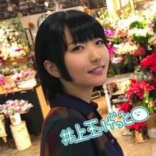 hoi015jp.jpg