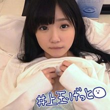hoi018jp.jpg