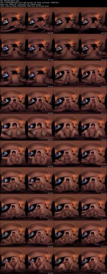 3DSVR-0493-E.jpeg