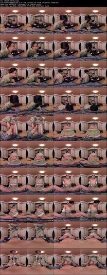 3DSVR-0503-B.jpeg