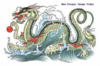 chinese-vs-japanese-dragon.jpg