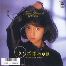 20190818.1732.5 Nami Shimada - Tanpopo no Sougen (1988) (FLAC) cover.jpg