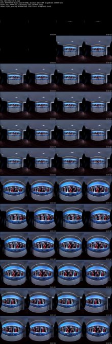 3DSVR-0522-A.jpeg