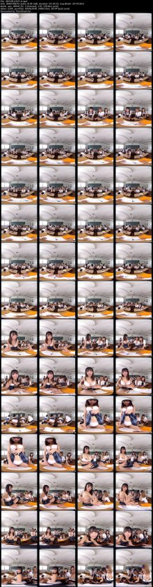 3DSVR-0527-A.jpeg