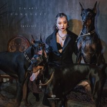 20191025.0248.13 gracie - Conquest cover.jpg