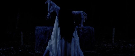 Sadako v Kayako.mkv_snapshot_01.34.03.jpg