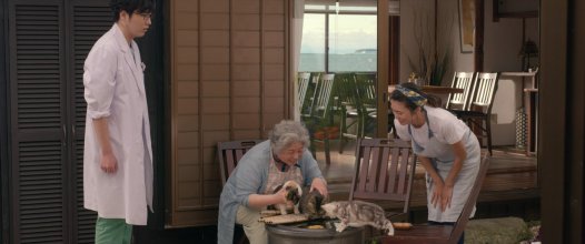 The Island of Cats.mkv_snapshot_00.41.11.jpg