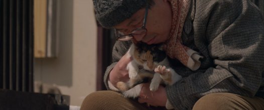 The Island of Cats.mkv_snapshot_01.25.24.jpg The Island of Cats.mkv_snapshot_01.25.24.jpg