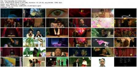 The Camellia Girl 2016_thumb.jpg