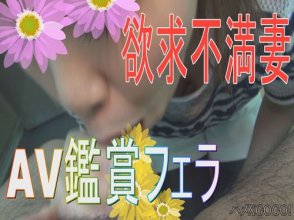 heydouga-4154_035_poster.jpg
