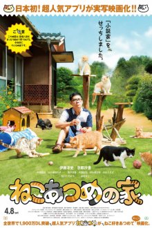 Neko Atsume House-.jpg