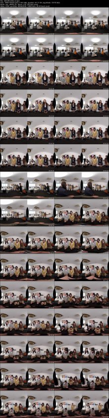 3DSVR-0612-A.jpeg