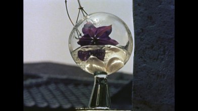 Ikebana.mkv_snapshot_12.52_[2020.02.29_13.13.14].jpg