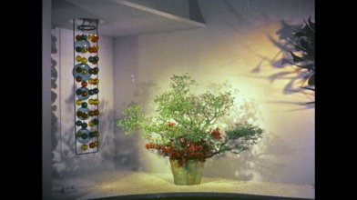 Ikebana.mkv_snapshot_29.33_[2020.02.29_13.13.40].jpg