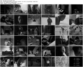 Vermilion Souls 2007_thumb.jpg