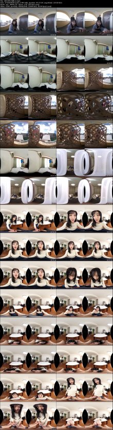 3DSVR-0649-A.jpeg