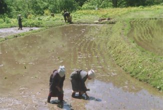 Warabinokou - To the Bracken Fields.mkv_snapshot_00.26.45_[2020.03.30_15.54.43].jpg