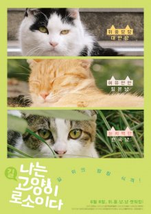 I am a Cat-.jpg I am a Cat-.jpg