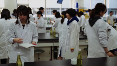 Kampai-2.png