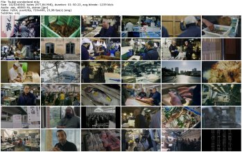 Tsukiji wonderland_thumb.jpg