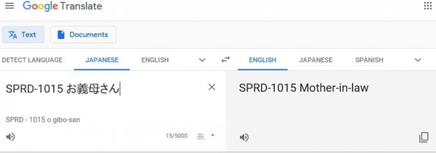 Mother in law translation.jpg