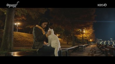 Welcome.S01E01-E02.200325.1080p-NEXT.mp4_snapshot_52.58_[2020.05.06_10.16.23].jpg