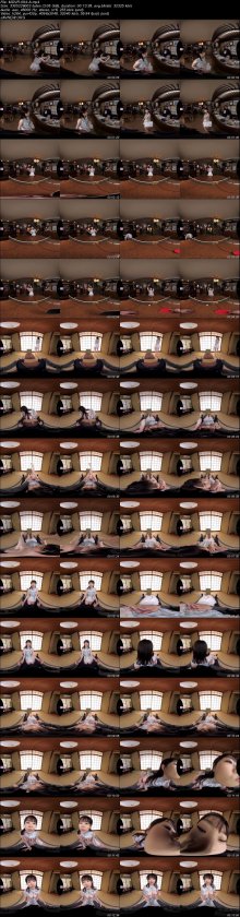MDVR-094-A.jpeg MDVR-094-A.jpeg
