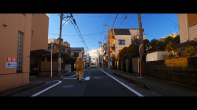 Tora-san - My life as a cat.mp4_snapshot_00.40.41_[2020.06.19_21.39.11].jpg