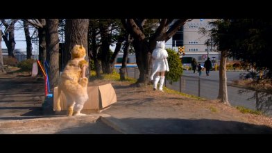 Tora-san - My life as a cat.mp4_snapshot_00.48.09_[2020.06.19_21.39.15].jpg
