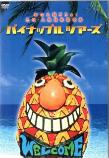 Pineapple Tours-.jpg Pineapple Tours-.jpg