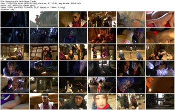 Memoirs of a Lady Ninja 2_thumb.jpg