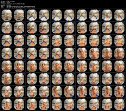 EXVR-215-B.mp4.jpg EXVR-215-B.mp4.jpg