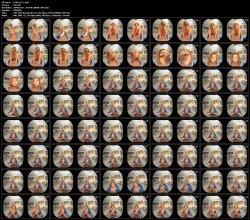 EXVR-215-C.mp4.jpg EXVR-215-C.mp4.jpg