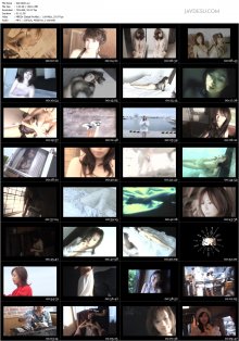 IGD-0026.avi.jpg