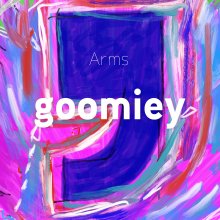 20200906.1748.06 goomiey Arms (2019) (FLAC) cover.jpg