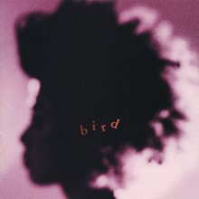 20201006.1714.03 bird bird (Limited edition) (1999) (FLAC) cover.jpg