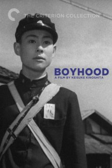Boyhood-.jpg
