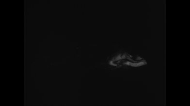 Lost Lov-ers.mkv_snapshot_01.03.54_[2020.11.23_11.30.42].jpg