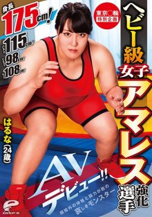 dvdms-568_poster.jpg