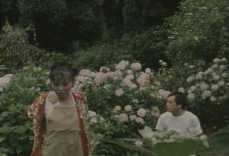 Eleph-ant Song.mkv_snapshot_29.30_[2020.12.25_13.21.11].jpg