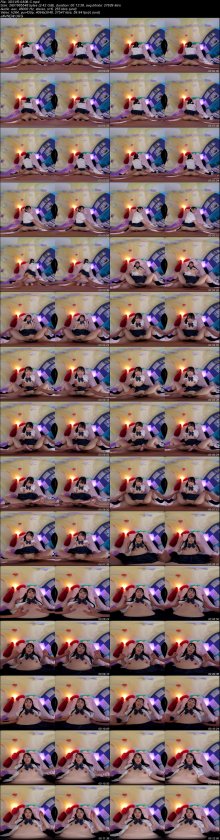3DSVR-0838-C.jpeg