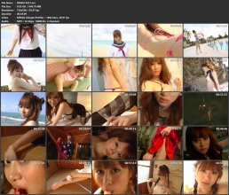 DMSM-8221.avi.jpg