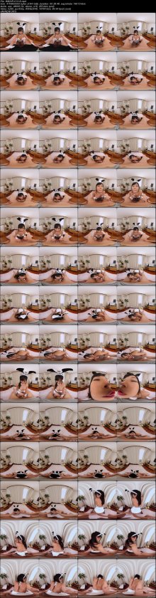 BIBIVR-013-B.jpeg BIBIVR-013-B.jpeg