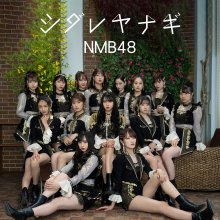 20210616.1813.4 NMB48 Shidare Yanagi (special edition) (2021) (FLAC) cover.jpg 20210616.1813.4 NMB48 Shidare Yanagi (special edition) (2021) (FLAC) cover.jpg
