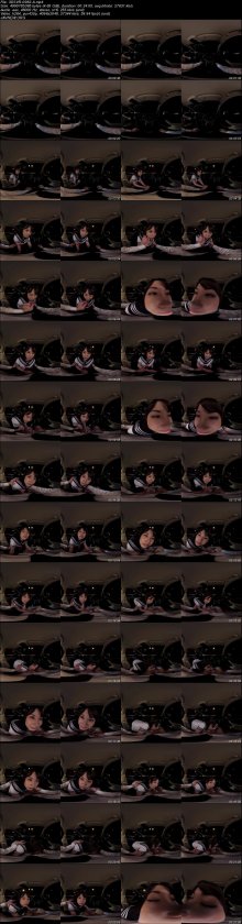 3DSVR-0982-A.jpeg