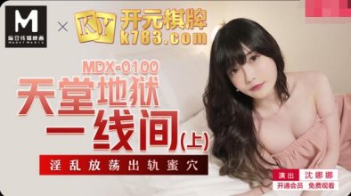 MDX-0100.jpg