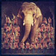 20210729.2338.03 Last Idol Kimi wa Nan Carat (2021) (FLAC) cover.jpg 20210729.2338.03 Last Idol Kimi wa Nan Carat (2021) (FLAC) cover.jpg