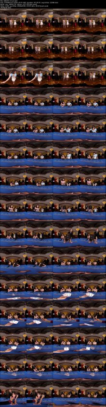 MDVR-171-A.jpeg MDVR-171-A.jpeg