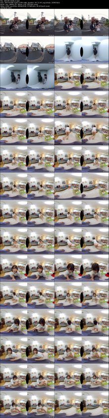3DSVR-1009-A.jpeg